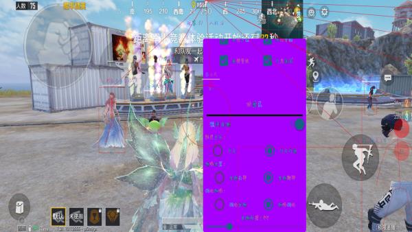 和平精英《圣女果》直装外挂全网首发上市